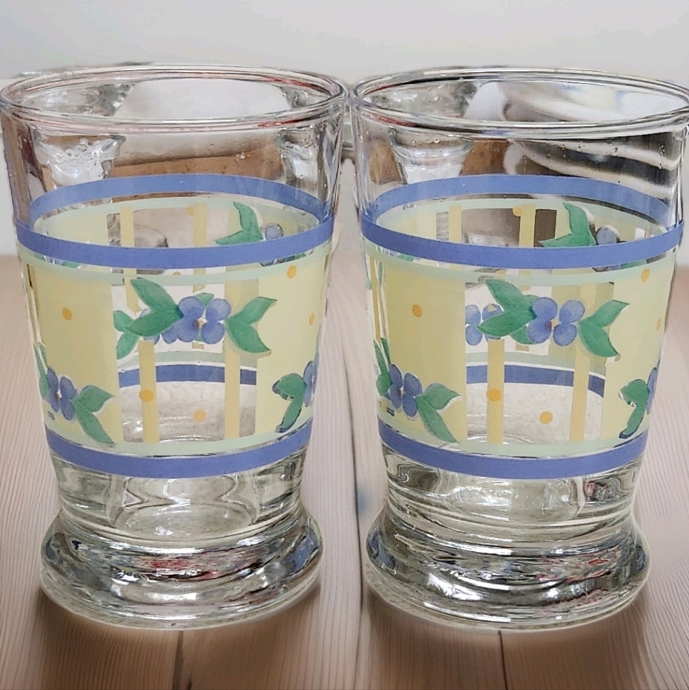 Vintage Summer Breeze Juice Glasses – Set of 2 – 6oz Floral Stripe Pattern